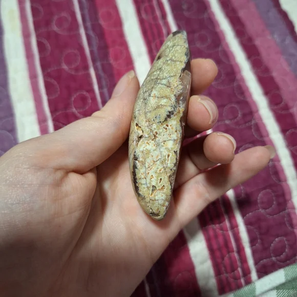 Carnelian Geode - Picture 4 of 5